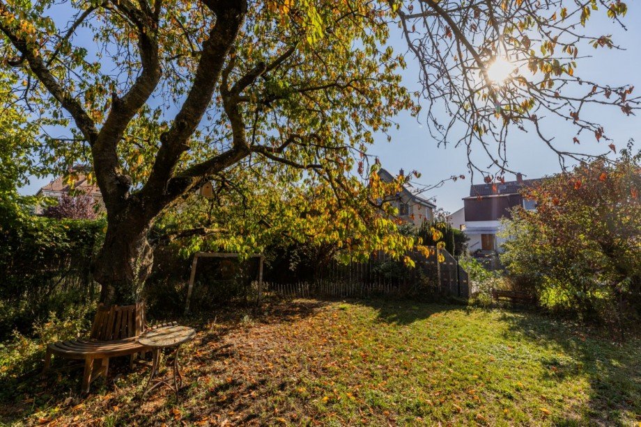 Ansicht 1 Garten Zweifamilienhaus Bischofsheim