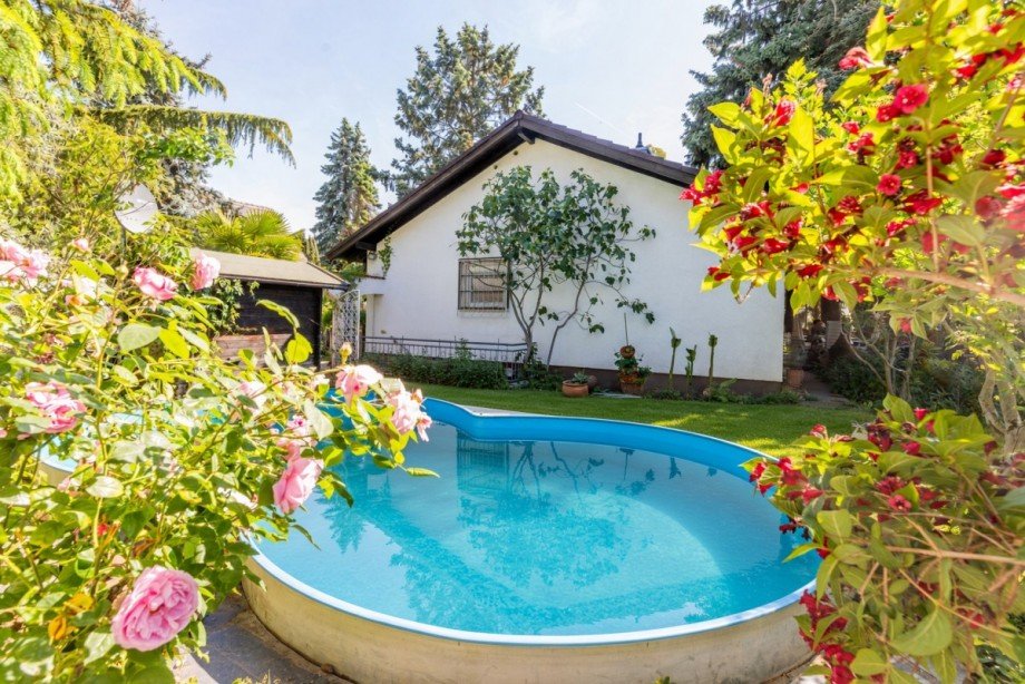 R�ckansicht mit Pool Bungalow Mainz-Kostheim