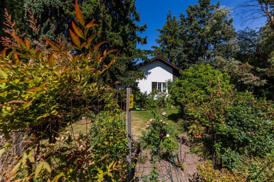 Vorderansicht mit Garten Bungalow Mainz-Kostheim