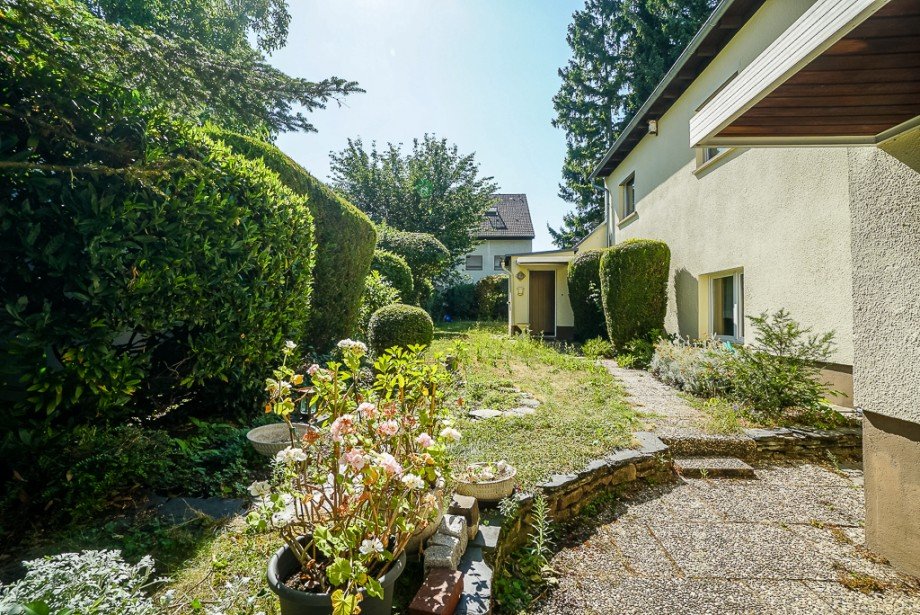 Garten vorne Einfamilienhaus Mainz