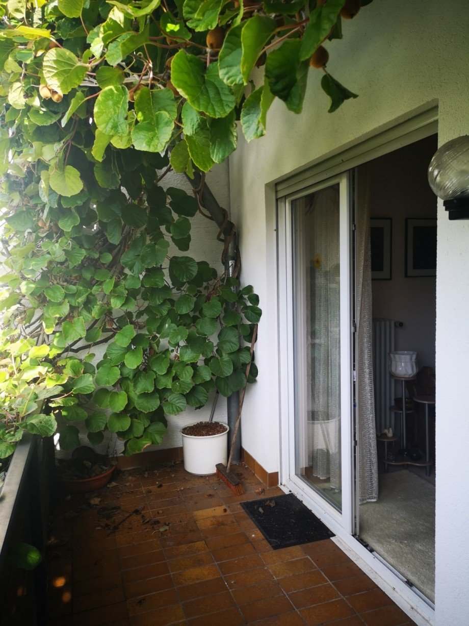 Balkon Reihenhaus Eppstein / Niederjosbach